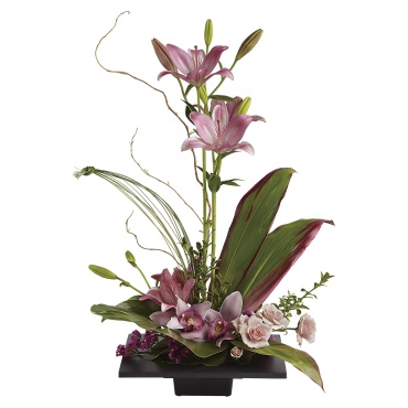 Imagination Blooms with Cymbidium Orchids