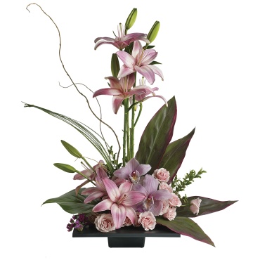 Imagination Blooms with Cymbidium Orchids